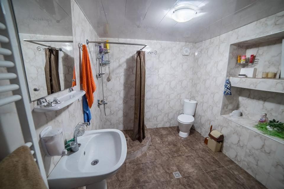 Artist'S House Otel Tetritskaro Dış mekan fotoğraf