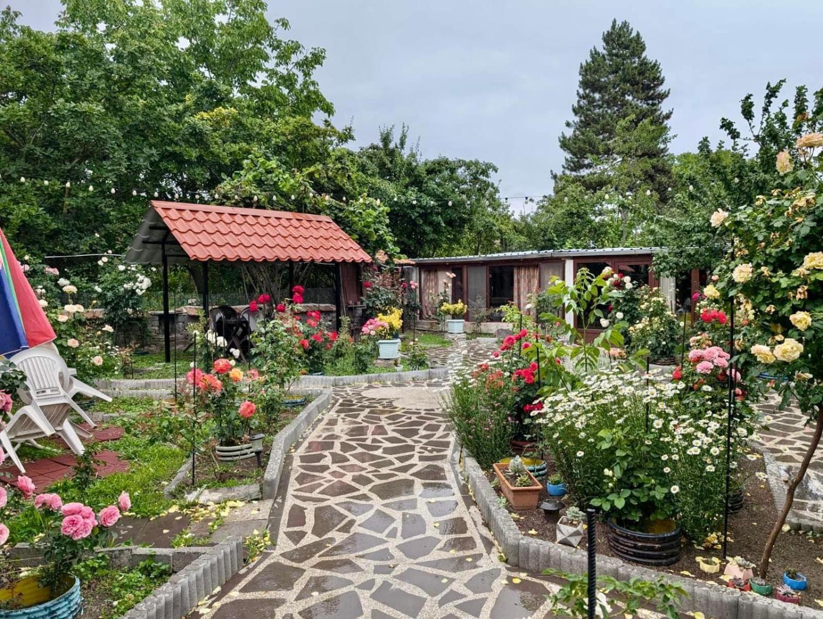 Artist'S House Otel Tetritskaro Dış mekan fotoğraf